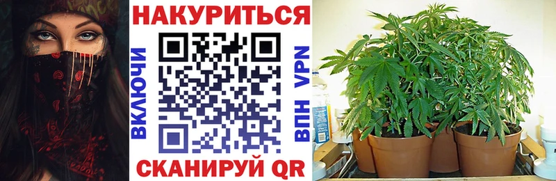 Каннабис SATIVA & INDICA  Каневская 